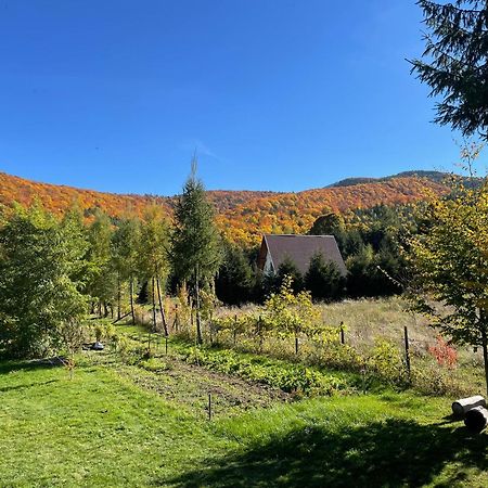 Alpinlife Otel Dejani Dış mekan fotoğraf