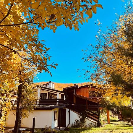 Alpinlife Otel Dejani Dış mekan fotoğraf