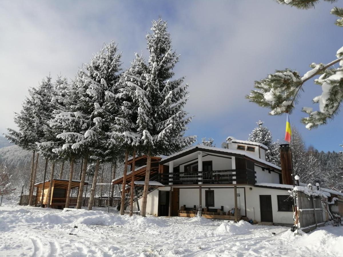 Alpinlife Otel Dejani Dış mekan fotoğraf