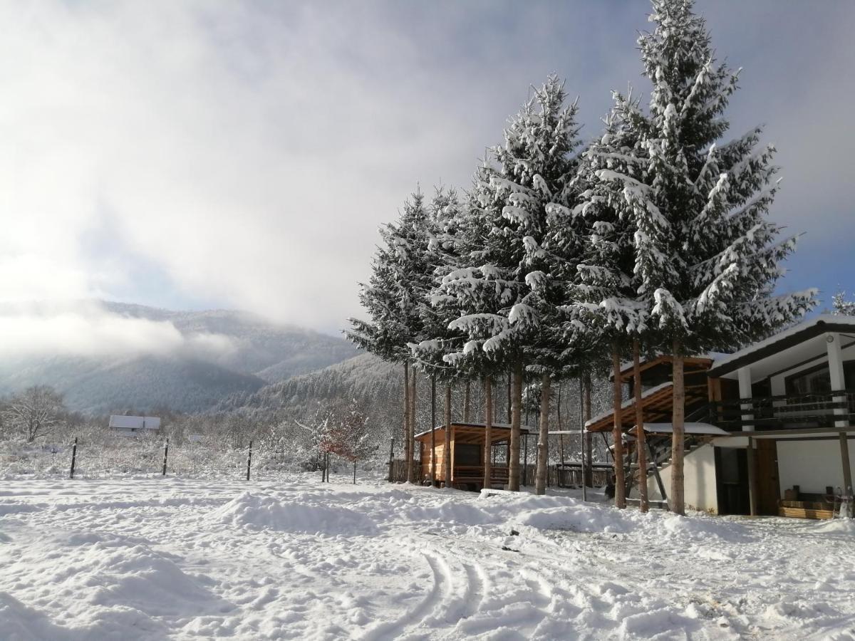 Alpinlife Otel Dejani Dış mekan fotoğraf