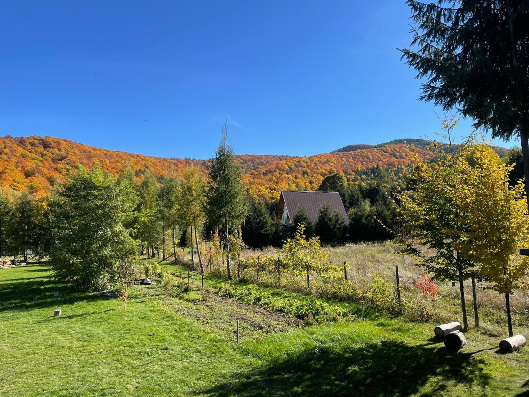 Alpinlife Otel Dejani Dış mekan fotoğraf